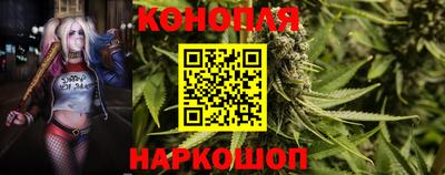 шишки Бузулук