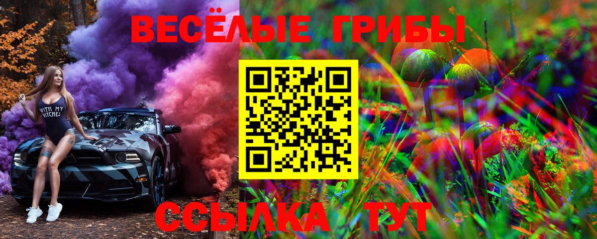 Галлюциногенные грибы прущие грибы Истра